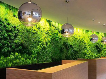 Dikey Duvar Bahçeleri / Moss Wall Design